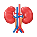 Kidney_Problem