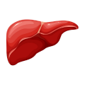 Liver_Problem